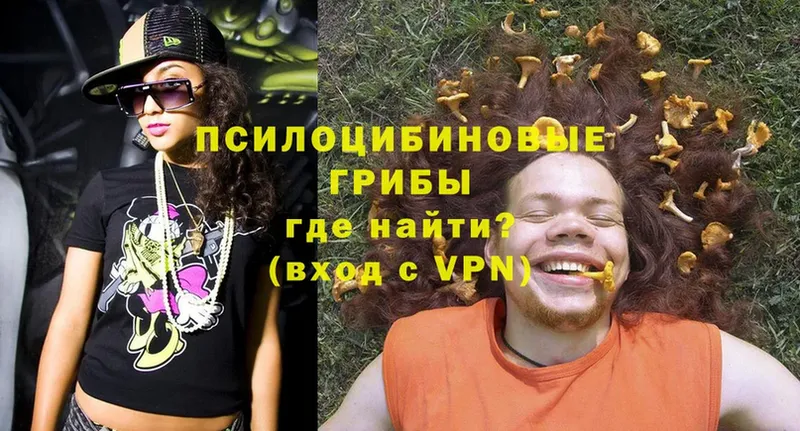 Псилоцибиновые грибы Psilocybe  наркошоп  это какой сайт  Володарск  гидра tor 